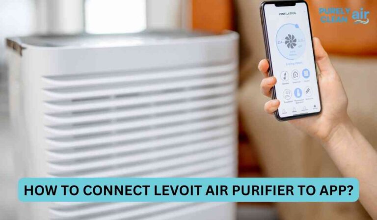 How To Connect Levoit Air Purifier To App?